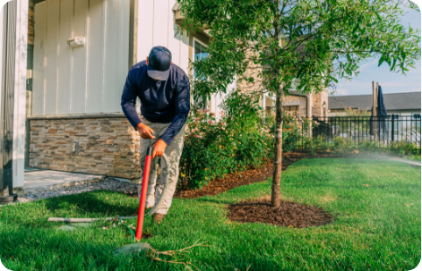 Established Landscape Companies
