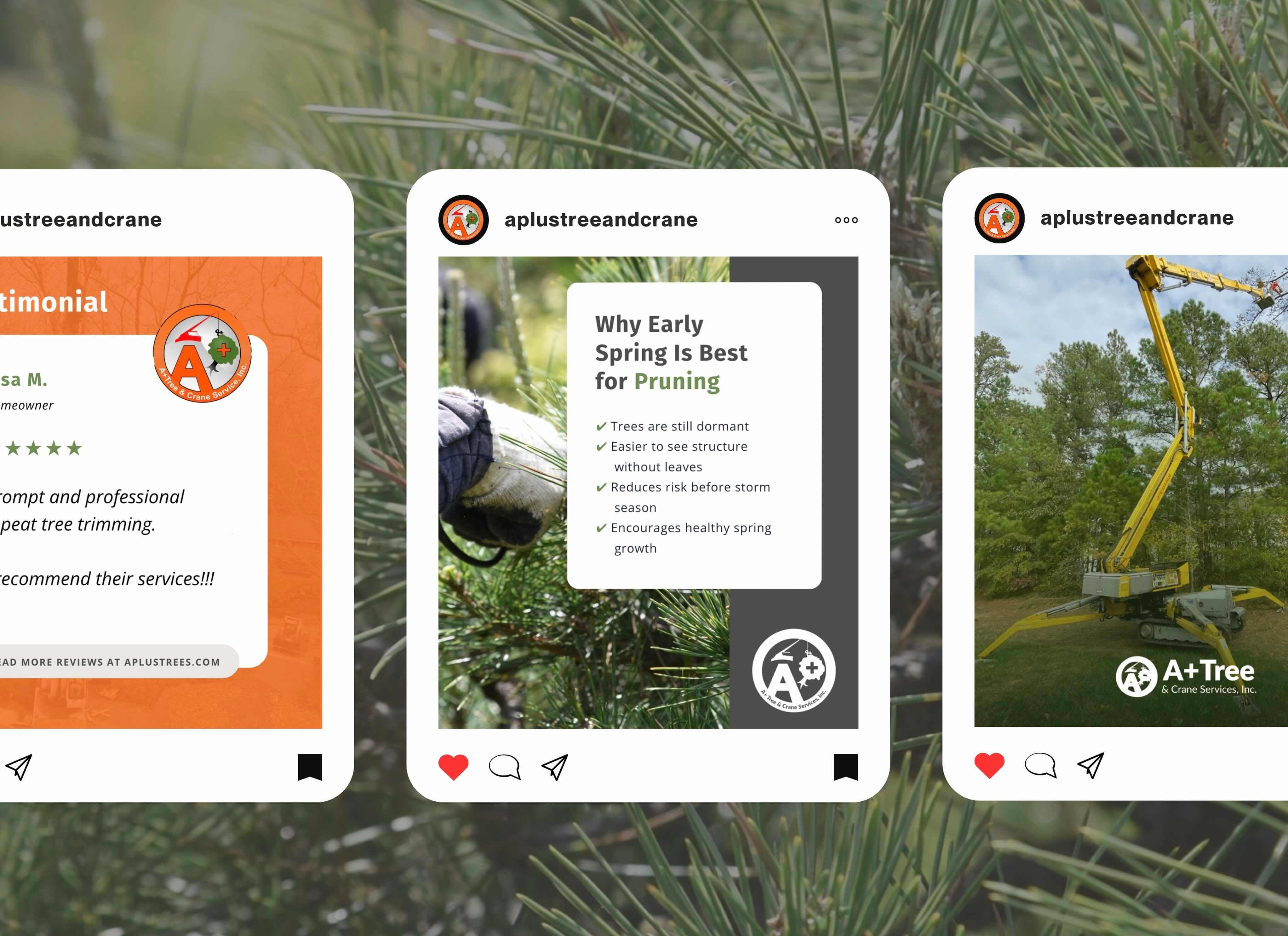 Social Media Results for Outdoor Living Contractor