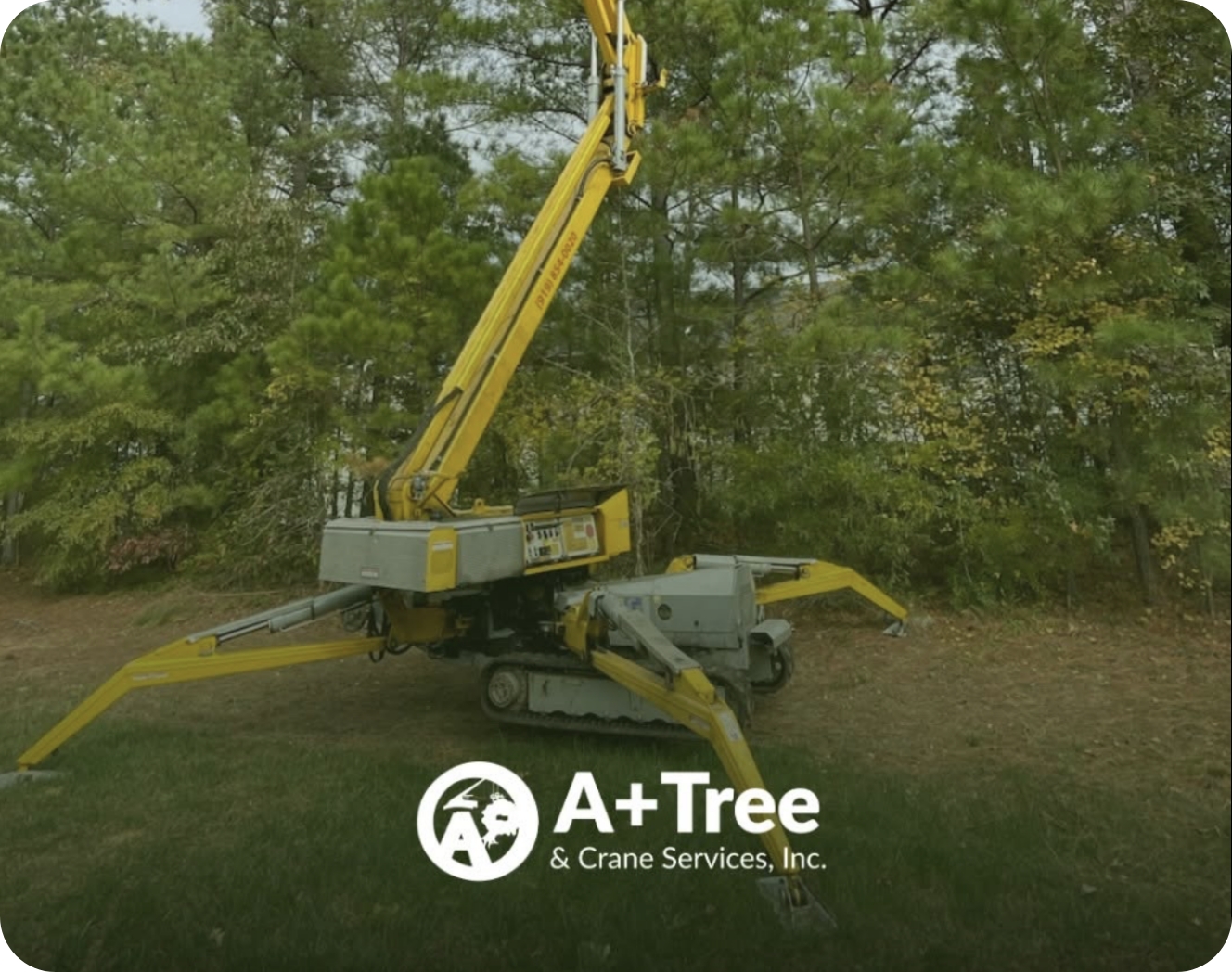 A+ Tree and Crane crew performing tree removal service in Raleigh NC