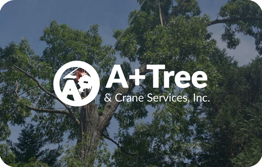 A+ Tree and Crane | 1,811% More Leads, 95% Lower Cost Per Lead
